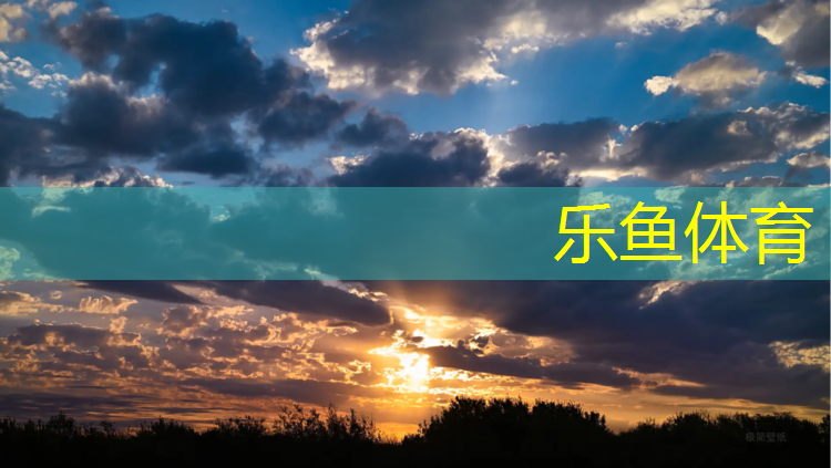 马里奥网球网络对战