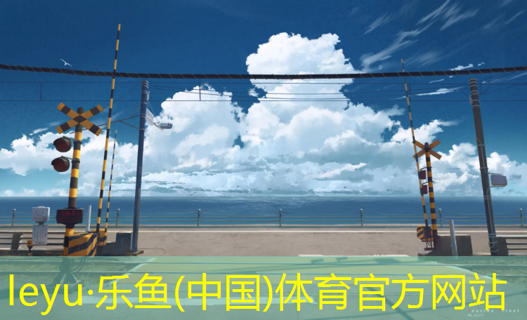 凉山网球网铺设