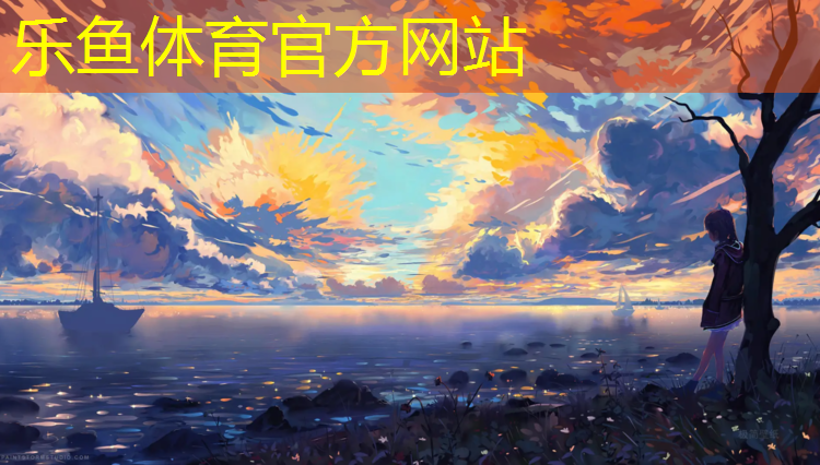 移动羽网球网